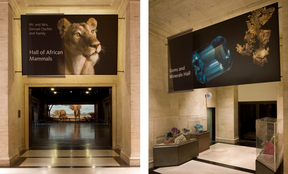 Natural History Museum of Los Angeles: Revitalizing the Visitor Experience image 2