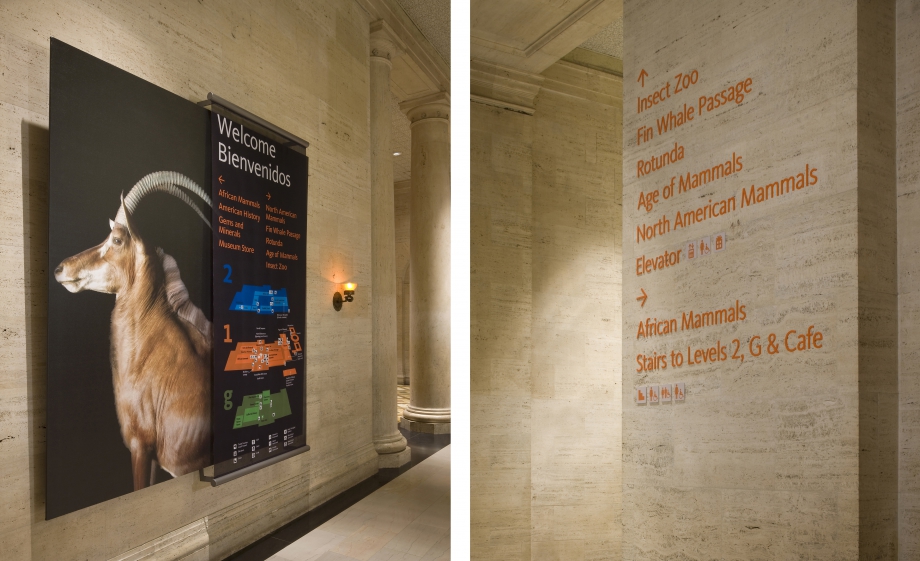 Natural History Museum of Los Angeles: Revitalizing the Visitor Experience image 4