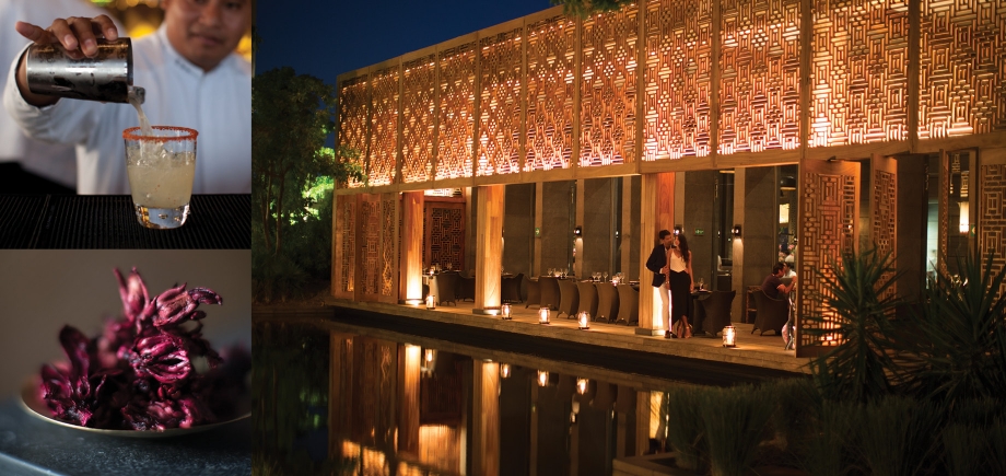 NIZUC: Paradise is Personal image 5